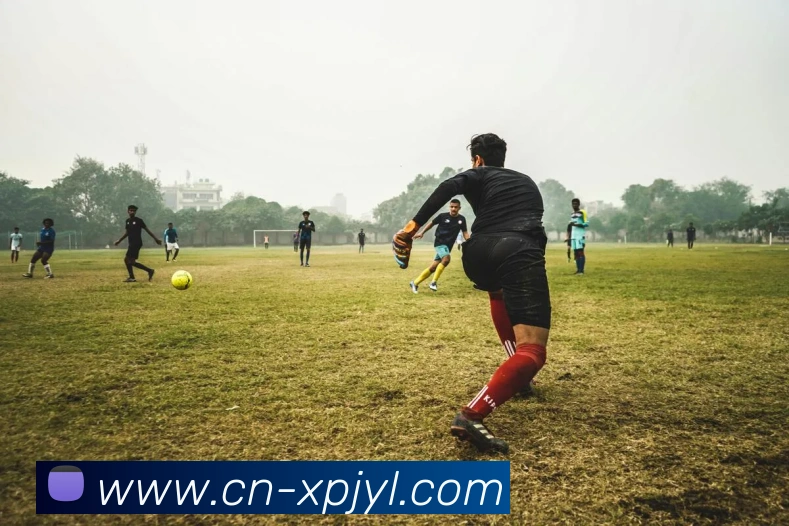 澳门新葡京娱乐服务体系